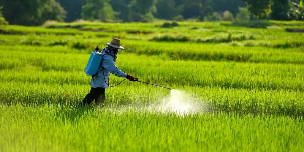 Pesticides Se Kaise bache